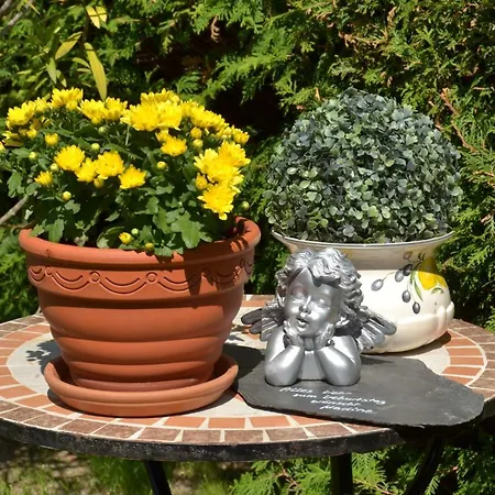 Apartman Heinen Andernach