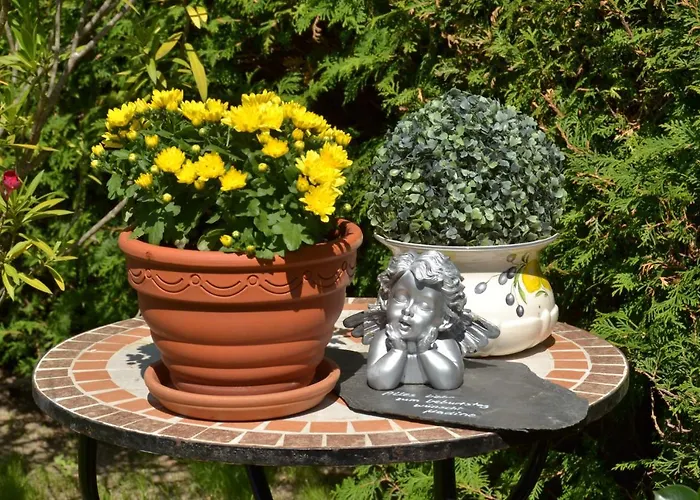 公寓 Heinen 安德纳赫